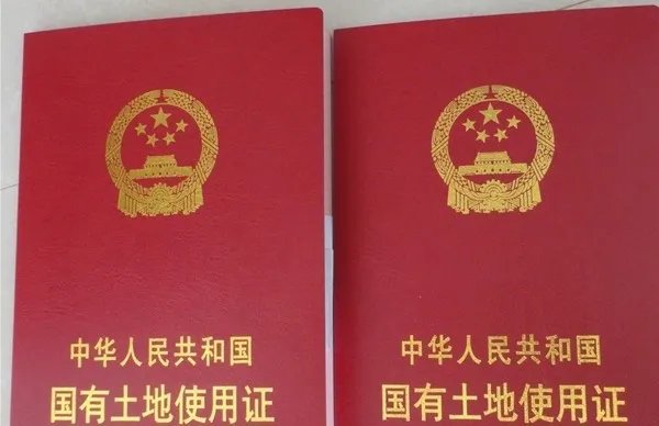 土地证号在哪个位置