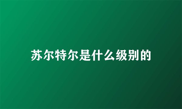 苏尔特尔是什么级别的