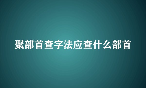 聚部首查字法应查什么部首