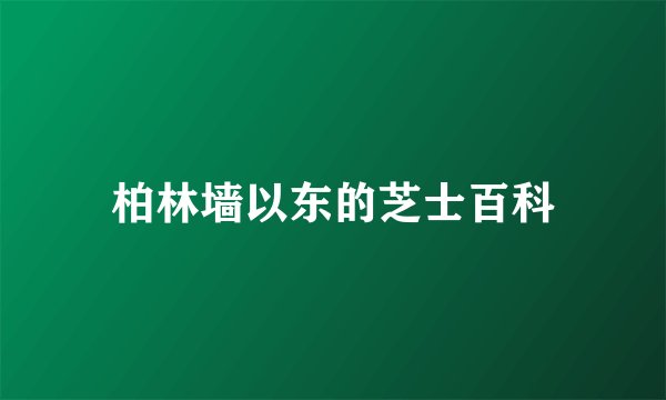 柏林墙以东的芝士百科