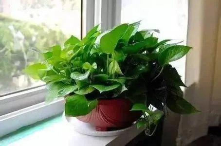 小鸣分享空调制冷效果好的实用小妙招？