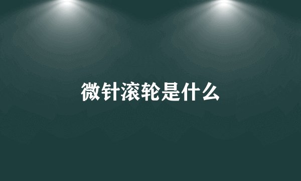 微针滚轮是什么