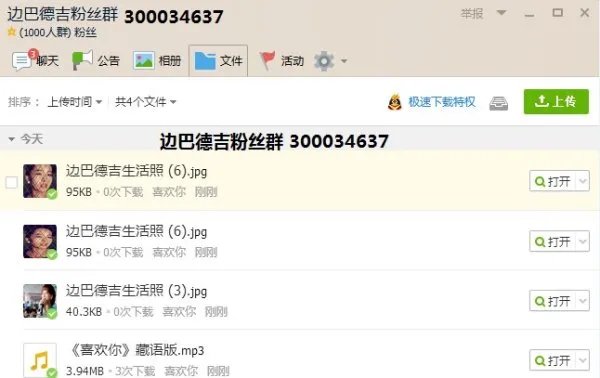 边巴德吉 藏语什么意思