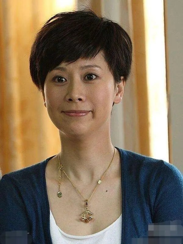 海清主演的电视剧有哪些