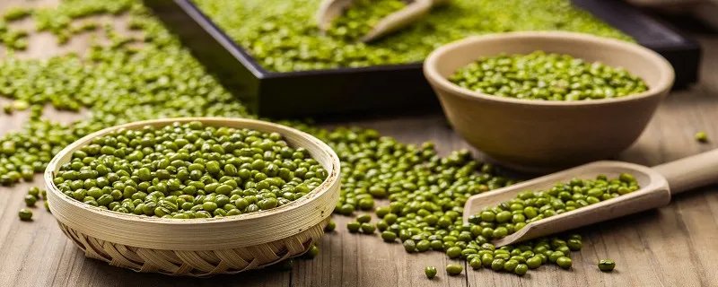 豆子的种类 豆子的种类有哪些