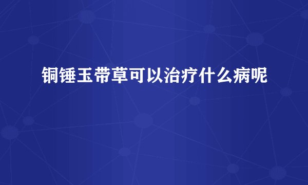 铜锤玉带草可以治疗什么病呢