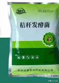 长期保存菌种的方法？