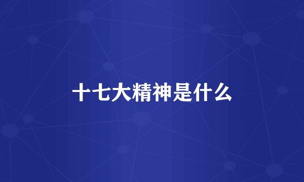 十七大精神是什么