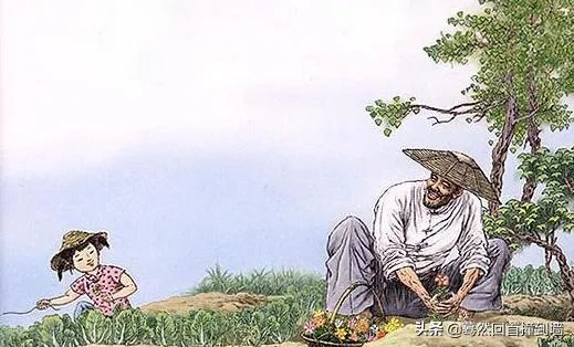 《祖父的园子》主要内容？