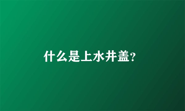什么是上水井盖？