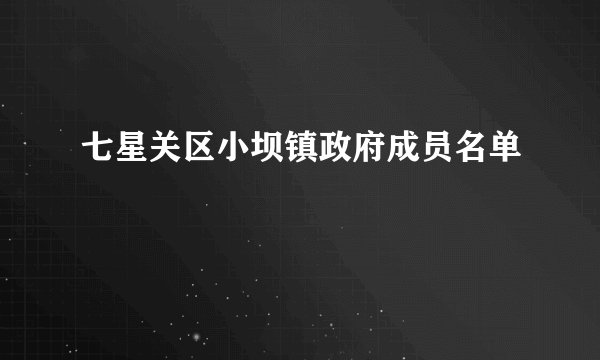 七星关区小坝镇政府成员名单