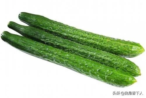 黄瓜种子哪个好？