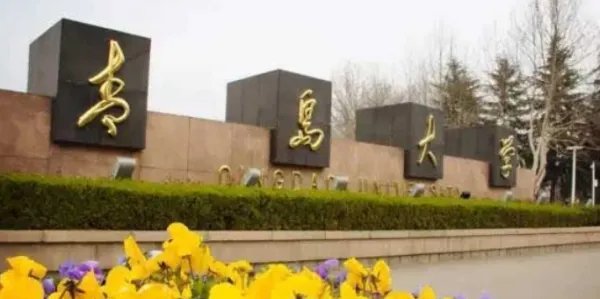 青岛大学与青岛科技大学哪个更好?