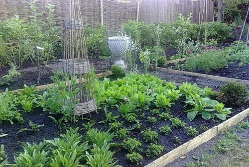 屋顶菜园的优点 屋顶菜园该注意什么