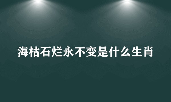 海枯石烂永不变是什么生肖