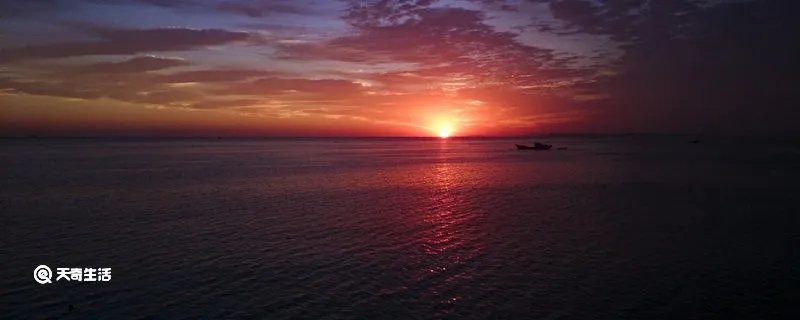 启明星形容人什么意思