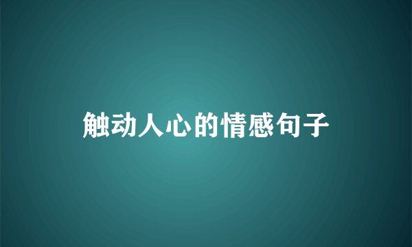 触动人心的情感句子