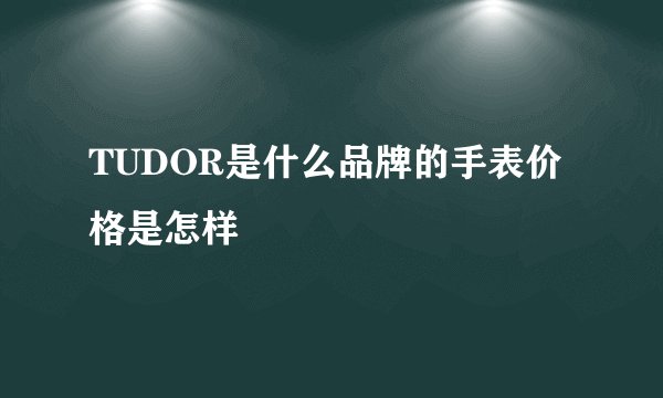 TUDOR是什么品牌的手表价格是怎样