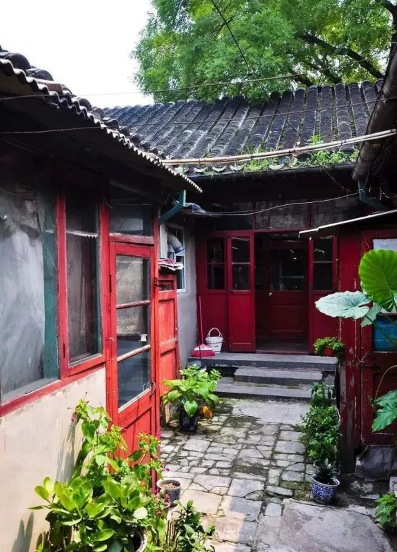 圆明园银杏进入最佳观赏期，北方的秋天究竟有多别致？