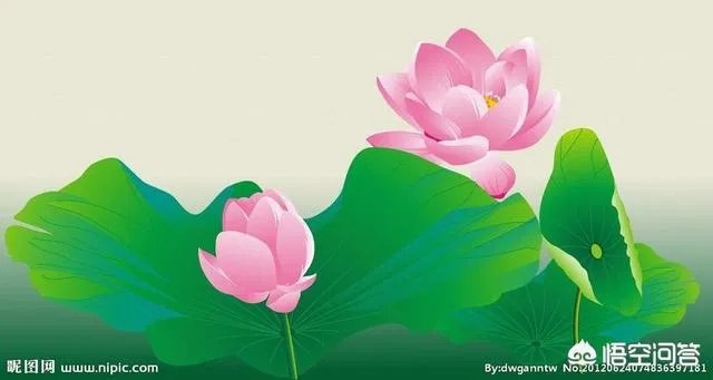 古往今来，为何隐士、修行者会首选终南山隐逸修行？