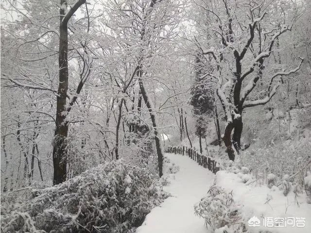 古往今来，为何隐士、修行者会首选终南山隐逸修行？