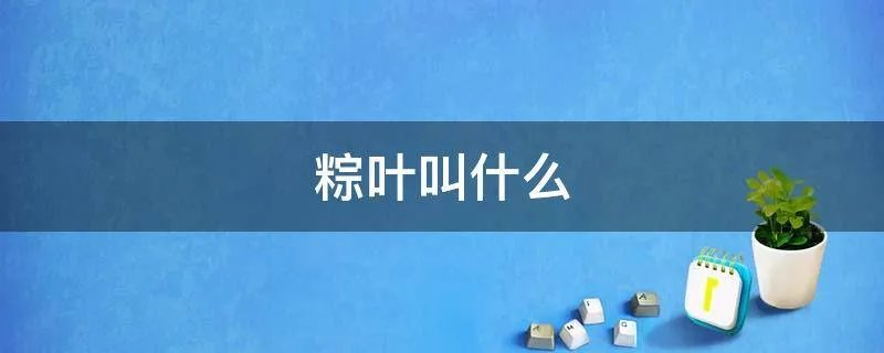 粽叶叫什么