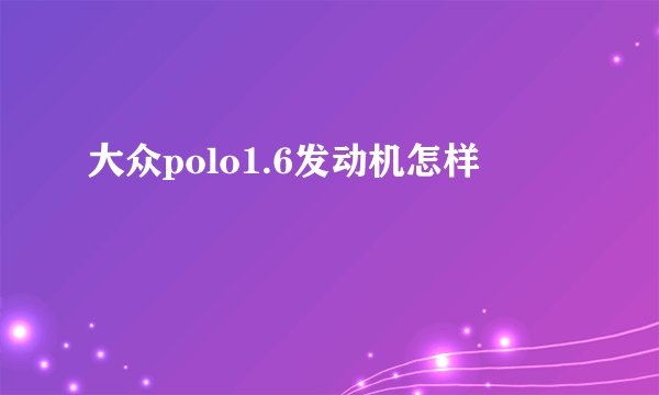 大众polo1.6发动机怎样