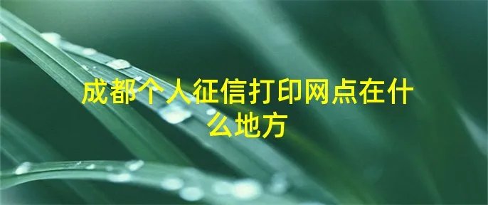 成都个人征信打印网点在什么地方