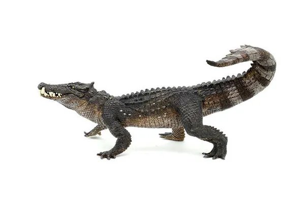 十大灭绝恐怖动物名单，所幸都已经成为化石