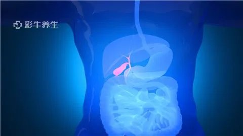 胆囊结石的治疗方法