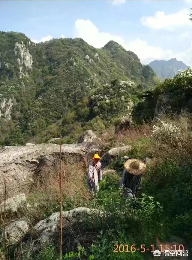 古往今来，为何隐士、修行者会首选终南山隐逸修行？