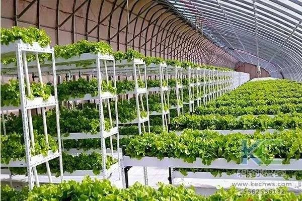 无土栽培营养液配方