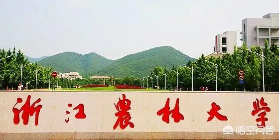 浙江高校的排名是怎么样的?