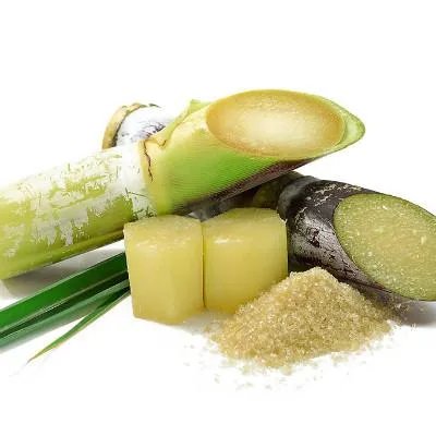 五个月宝宝能吃什么