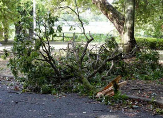 2019年10号台风最新消息路径图 第10号台风叫什么名字