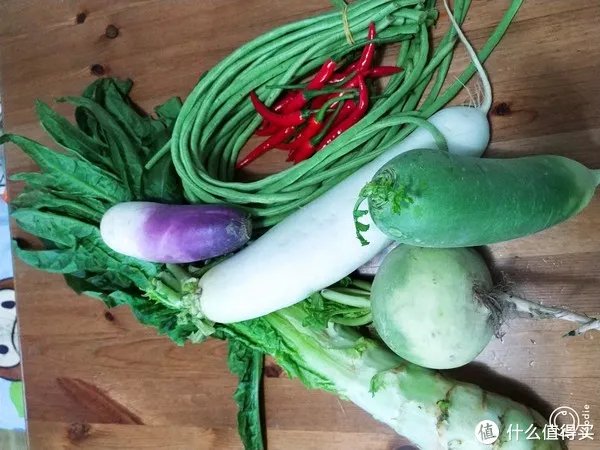 腌菜的做法大全