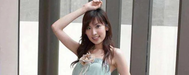 陈若仪个人资料简介