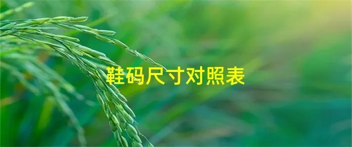 鞋码尺寸对照表