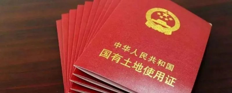 土地证号在哪个位置