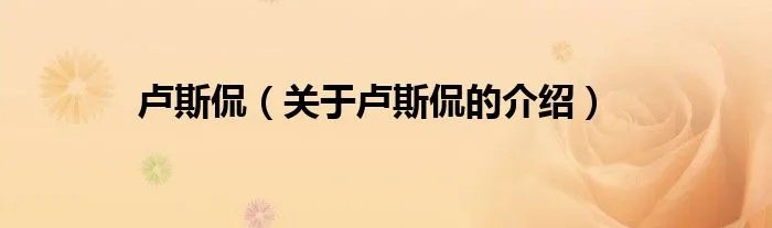 卢斯侃（关于卢斯侃的介绍）