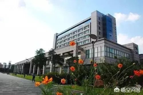 浙江高校的排名是怎么样的?