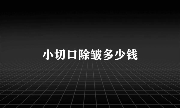 小切口除皱多少钱