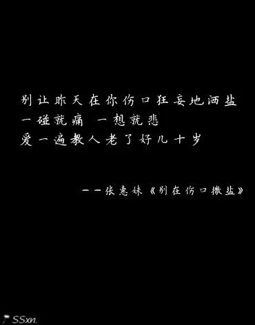 爱了就爱了的歌词