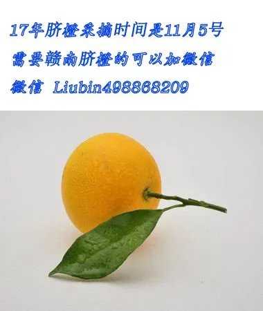 赣南脐橙今年价格很贵啊，为什么