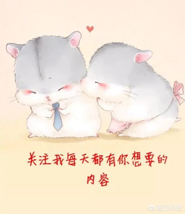 手机挖矿app会不会有发展前景?