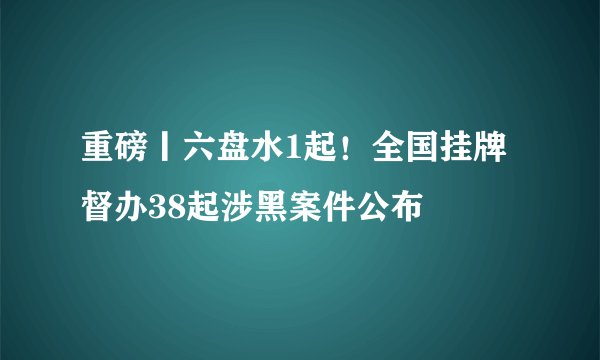 重磅丨六盘水1起！全国挂牌督办38起涉黑案件公布
