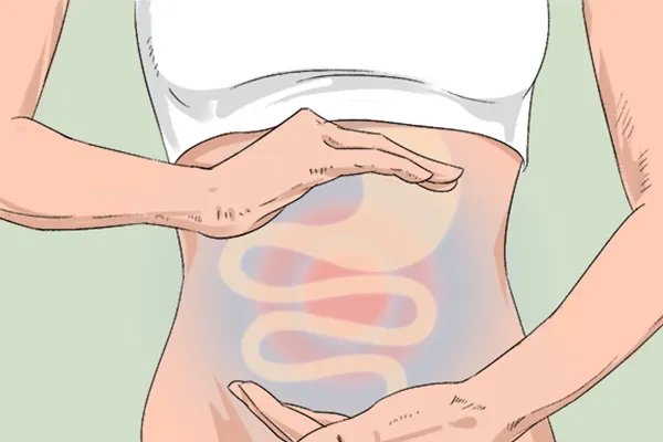 肉苁蓉有什么作用