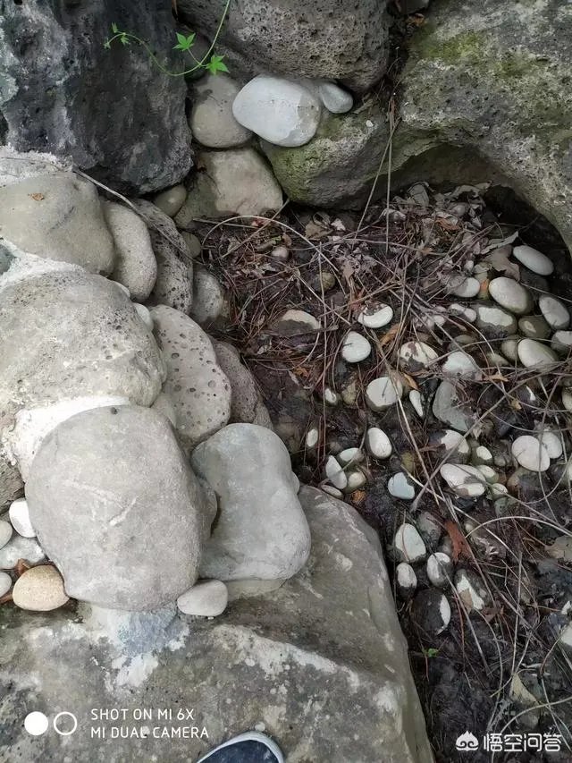 别墅庭院设计要注意哪些？