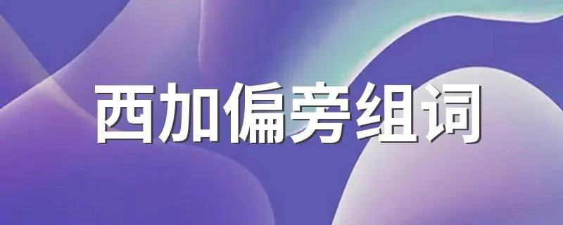 西加偏旁组词 大家可以看看