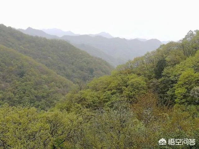 秦岭72峪最值得去的几个